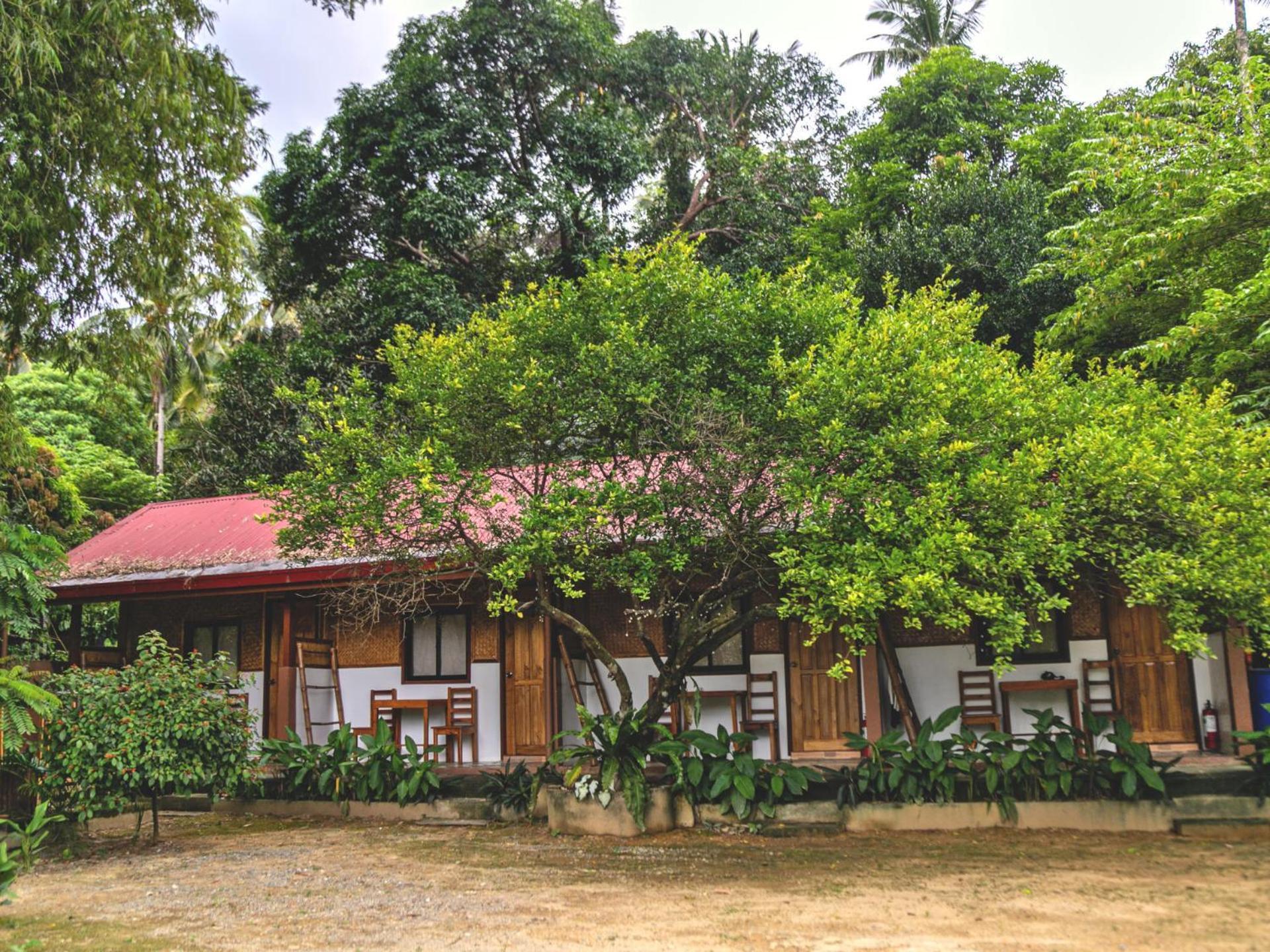 Hotel Masayana El Nido Pokoj fotografie